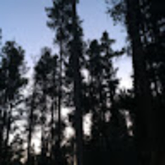 Meet your Posher, Jolie - Picture 1 of 1